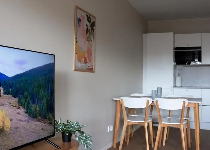 公寓 Freshly Renovated 2-bedroom In Centrum 拉赫蒂